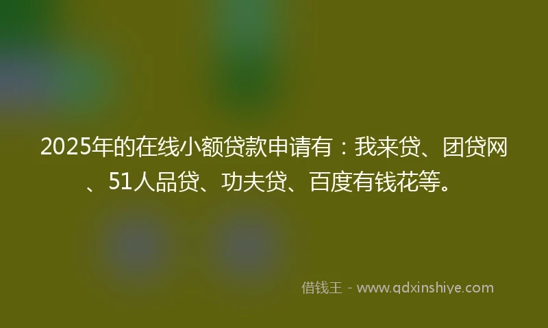 2025年的在线小额贷款申请有:我来贷、团贷网、51人品贷、功夫贷、百度有钱花等。