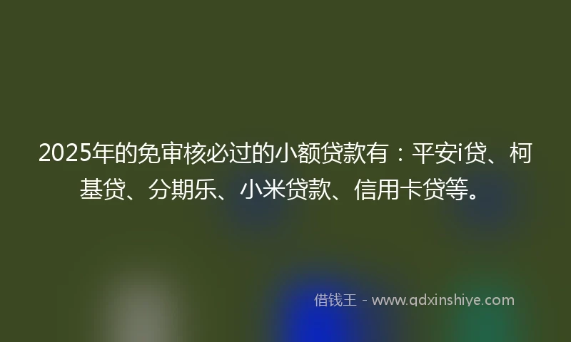 2025年的免审核必过的小额贷款有：平安i贷、柯基贷、分期乐、小米贷款、信用卡贷等。