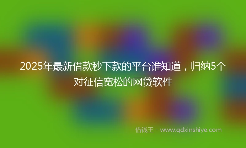 2025年最新借款秒下款的平台谁知道，归纳5个对征信宽松的网贷软件