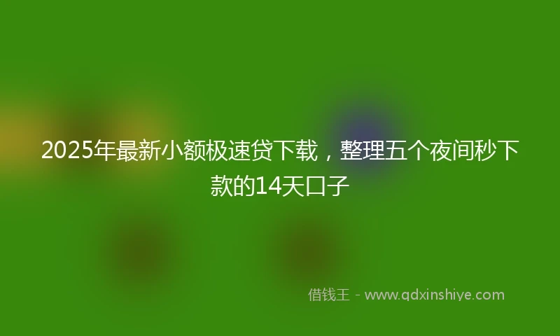 2025年最新小额极速贷下载，整理五个夜间秒下款的14天口子