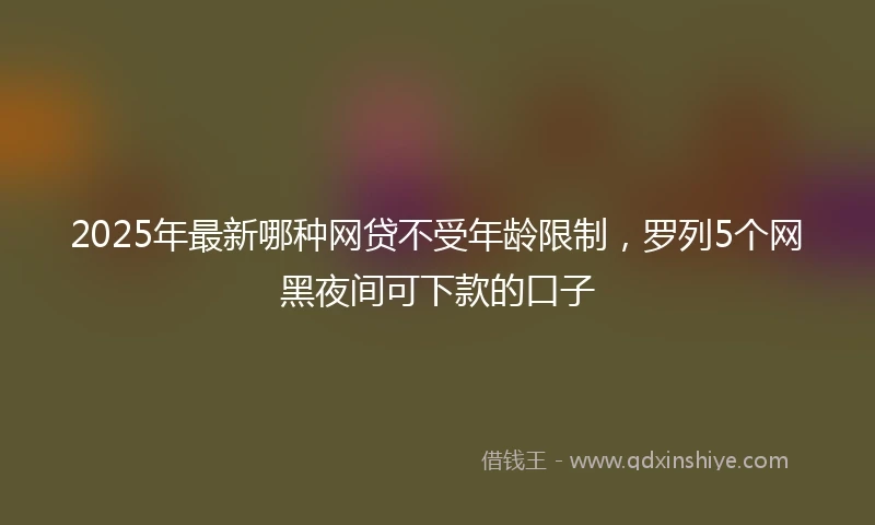 2025年最新哪种网贷不受年龄限制，罗列5个网黑夜间可下款的口子