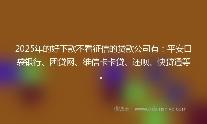 2025年的好下款不看征信的贷款公司有：平安口袋银行、团贷网、维信卡卡贷、还呗、快贷通等。