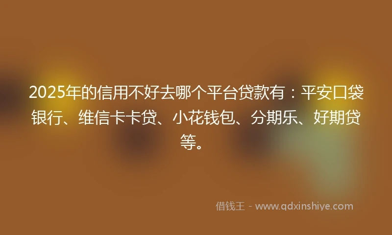 2025年的信用不好去哪个平台贷款有：平安口袋银行、维信卡卡贷、小花钱包、分期乐、好期贷等。