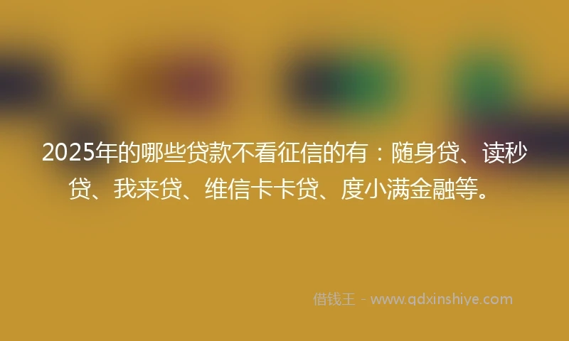 2025年的哪些贷款不看征信的有：随身贷、读秒贷、我来贷、维信卡卡贷、度小满金融等。