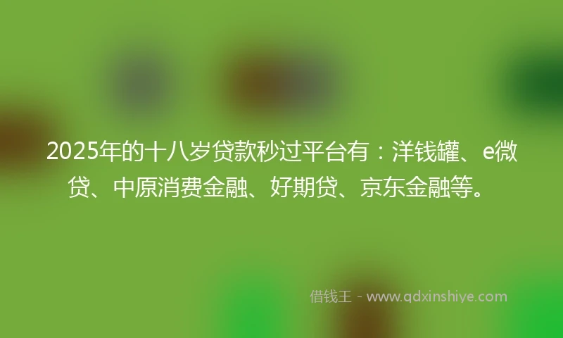 2025年的十八岁贷款秒过平台有：洋钱罐、e微贷、中原消费金融、好期贷、京东金融等。