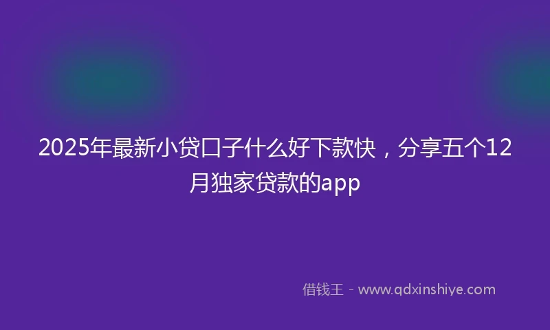 2025年最新小贷口子什么好下款快，分享五个12月独家贷款的app
