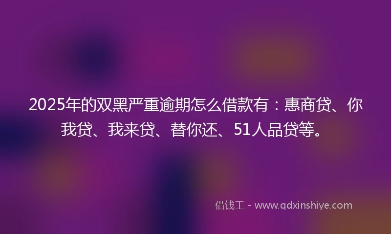 2025年的双黑严重逾期怎么借款有：惠商贷、你我贷、我来贷、替你还、51人品贷等。