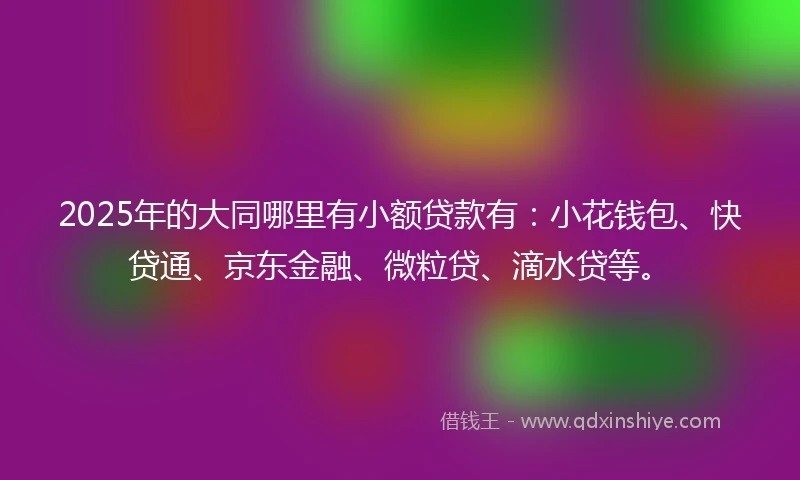 2025年的大同哪里有小额贷款有：小花钱包、快贷通、京东金融、微粒贷、滴水贷等。