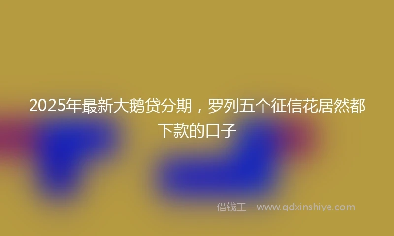 2025年最新大鹅贷分期，罗列五个征信花居然都下款的口子