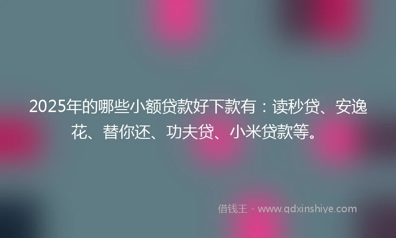 2025年的哪些小额贷款好下款有：读秒贷、安逸花、替你还、功夫贷、小米贷款等。