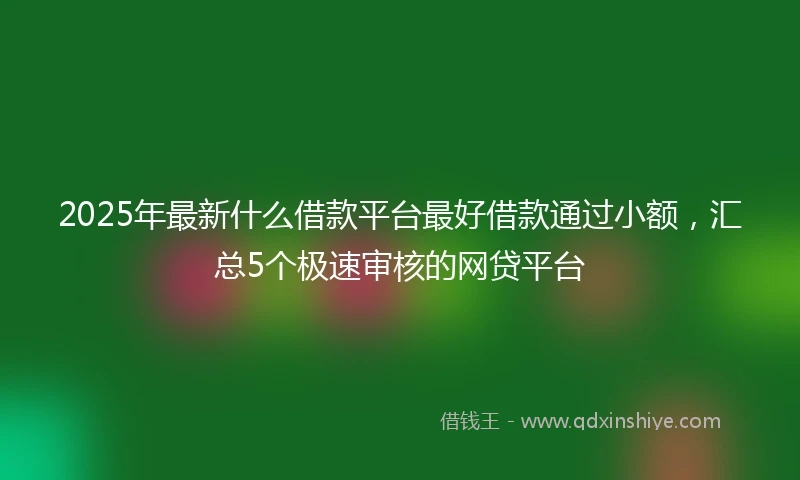 2025年最新什么借款平台最好借款通过小额，汇总5个极速审核的网贷平台