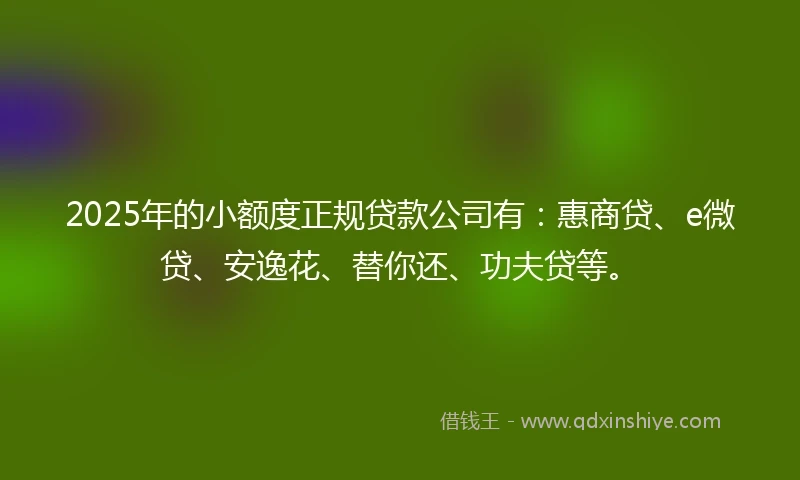 2025年的小额度正规贷款公司有：惠商贷、e微贷、安逸花、替你还、功夫贷等。