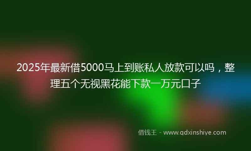 2025年最新借5000马上到账私人放款可以吗，整理五个无视黑花能下款一万元口子