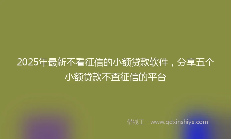 2025年最新不看征信的小额贷款软件，分享五个小额贷款不查征信的平台