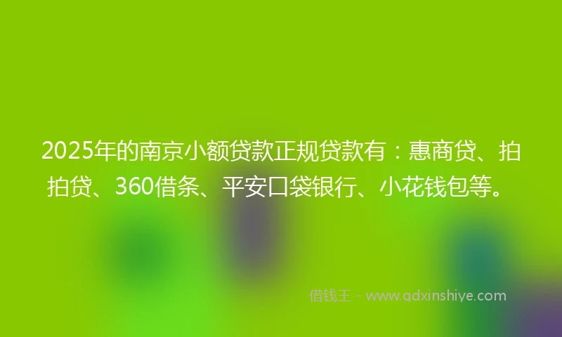 2025年的南京小额贷款正规贷款有：惠商贷、拍拍贷、360借条、平安口袋银行、小花钱包等。