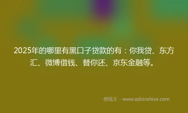 2025年的哪里有黑口子贷款的有：你我贷、东方汇、微博借钱、替你还、京东金融等。