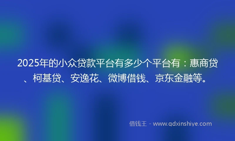 2025年的小众贷款平台有多少个平台有：惠商贷、柯基贷、安逸花、微博借钱、京东金融等。