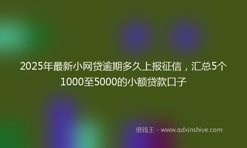2025年最新小网贷逾期多久上报征信，汇总5个1000至5000的小额贷款口子