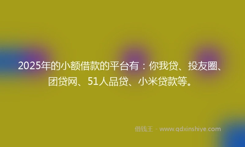2025年的小额借款的平台有：你我贷、投友圈、团贷网、51人品贷、小米贷款等。