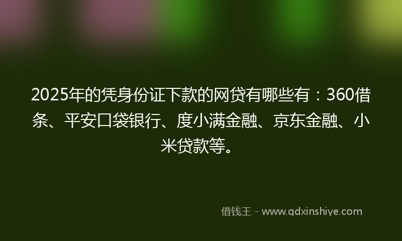 2025年的凭身份证下款的网贷有哪些有：360借条、平安口袋银行、度小满金融、京东金融、小米贷款等。