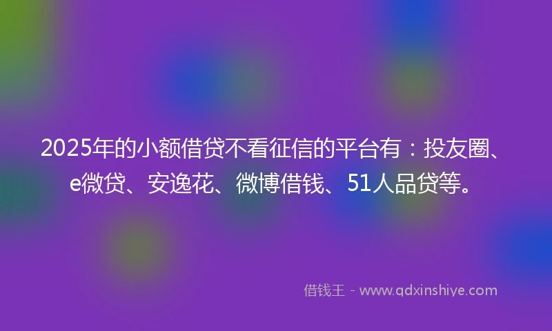 2025年的小额借贷不看征信的平台有：投友圈、e微贷、安逸花、微博借钱、51人品贷等。