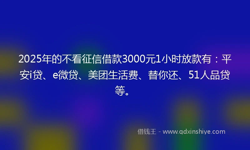 2025年的不看征信借款3000元1小时放款有：平安i贷、e微贷、美团生活费、替你还、51人品贷等。