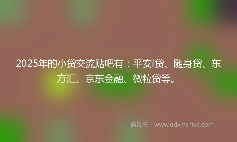 2025年的小贷交流贴吧有：平安i贷、随身贷、东方汇、京东金融、微粒贷等。