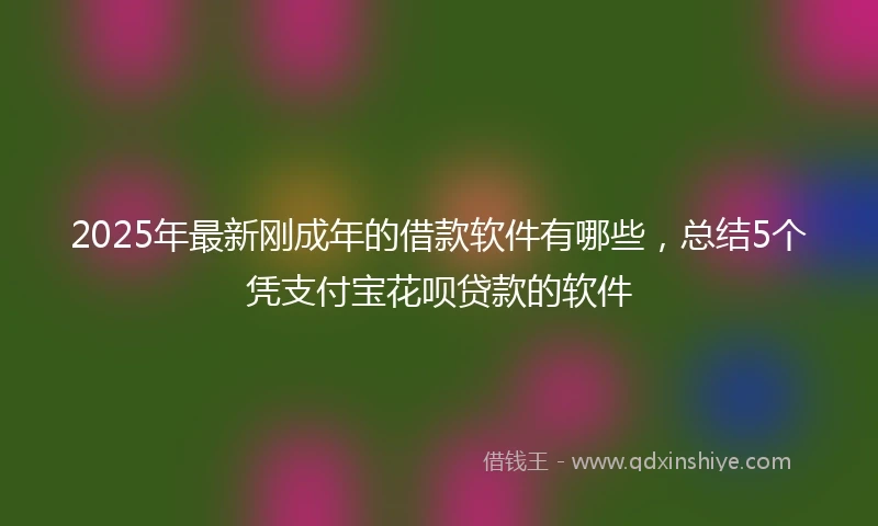 2025年最新刚成年的借款软件有哪些，总结5个凭支付宝花呗贷款的软件