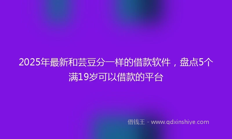 2025年最新和芸豆分一样的借款软件，盘点5个满19岁可以借款的平台