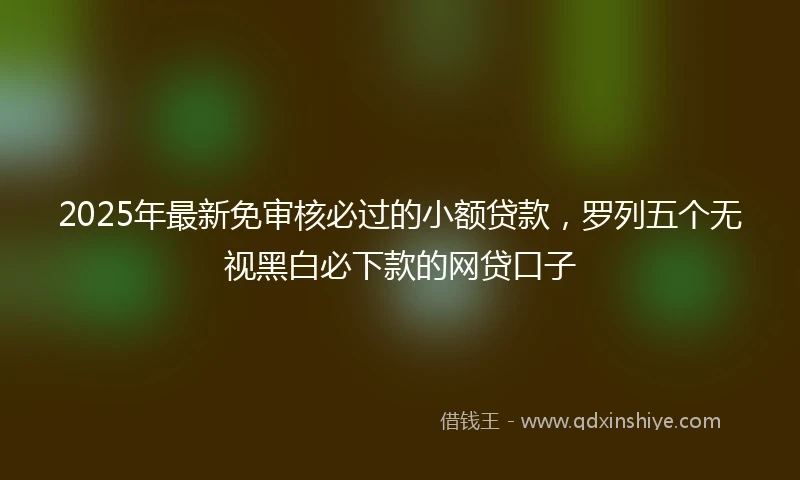 2025年最新免审核必过的小额贷款，罗列五个无视黑白必下款的网贷口子