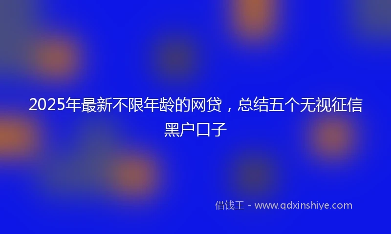 2025年最新不限年龄的网贷，总结五个无视征信黑户口子