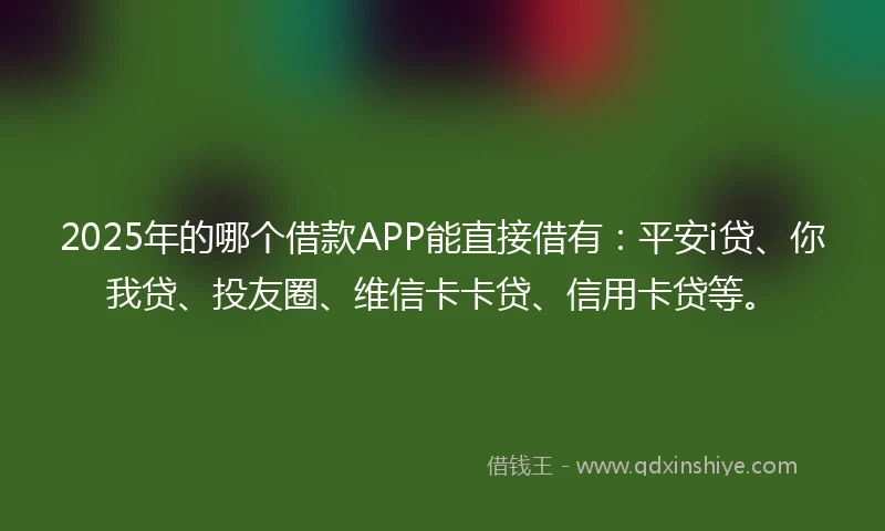 2025年的哪个借款APP能直接借有：平安i贷、你我贷、投友圈、维信卡卡贷、信用卡贷等。