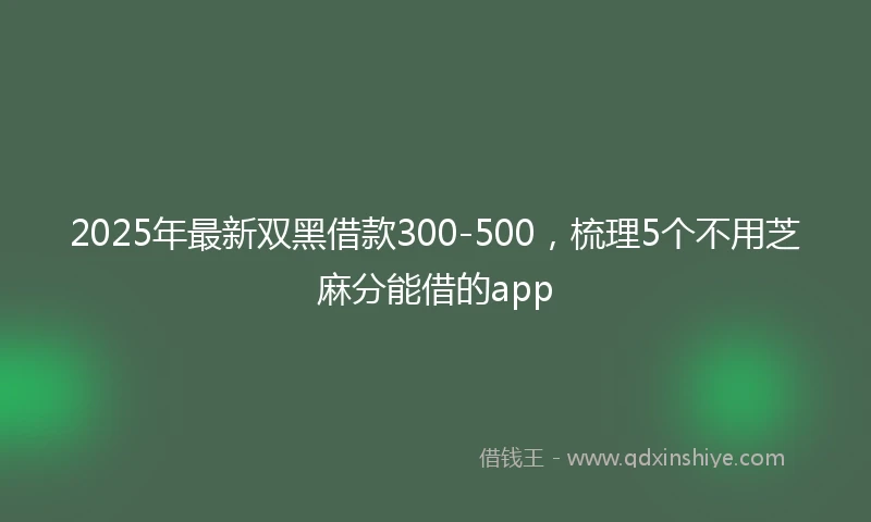 2025年最新双黑借款300-500，梳理5个不用芝麻分能借的app