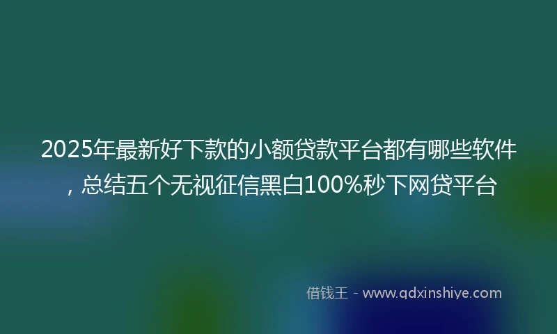 2025年最新好下款的小额贷款平台都有哪些软件，总结五个无视征信黑白100%秒下网贷平台