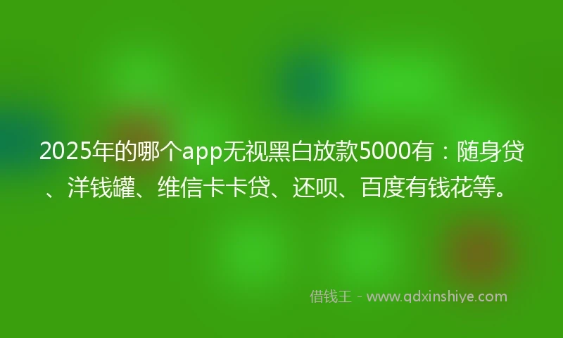 2025年的哪个app无视黑白放款5000有：随身贷、洋钱罐、维信卡卡贷、还呗、百度有钱花等。