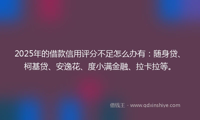 2025年的借款信用评分不足怎么办有：随身贷、柯基贷、安逸花、度小满金融、拉卡拉等。