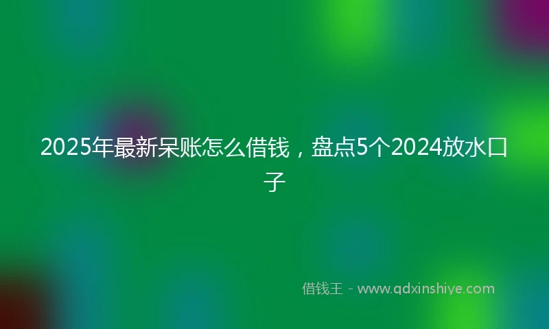 2025年最新呆账怎么借钱，盘点5个2024放水口子