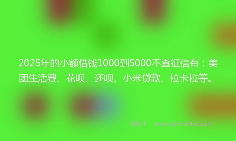 2025年的小额借钱1000到5000不查征信有：美团生活费、花呗、还呗、小米贷款、拉卡拉等。