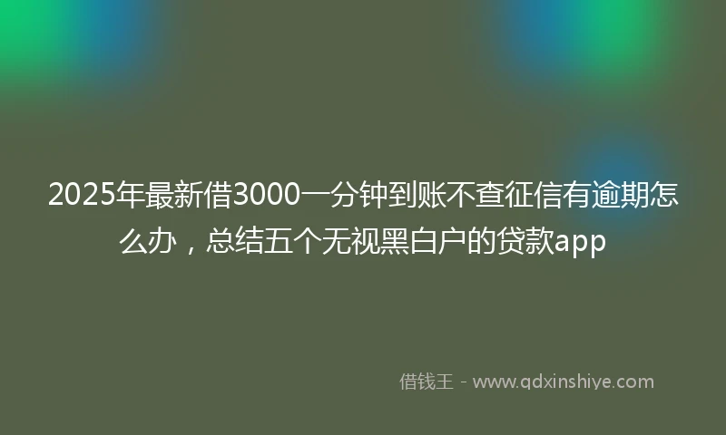 2025年最新借3000一分钟到账不查征信有逾期怎么办，总结五个无视黑白户的贷款app