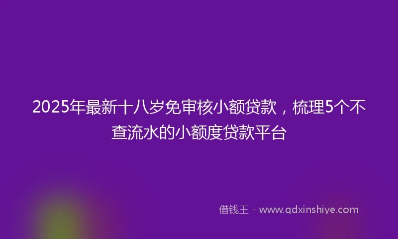 2025年最新十八岁免审核小额贷款，梳理5个不查流水的小额度贷款平台