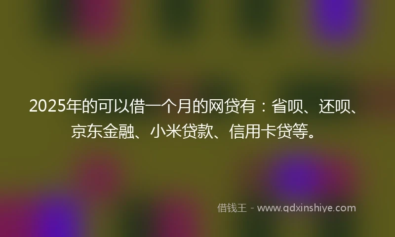 2025年的可以借一个月的网贷有：省呗、还呗、京东金融、小米贷款、信用卡贷等。