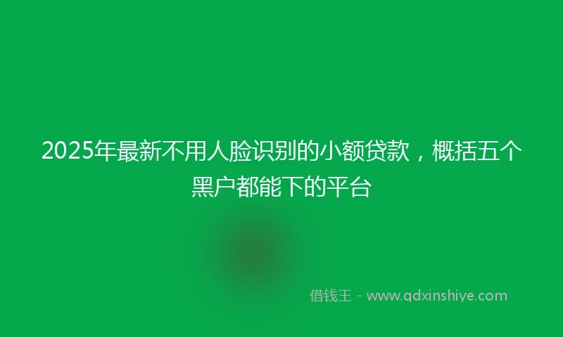 2025年最新不用人脸识别的小额贷款，概括五个黑户都能下的平台