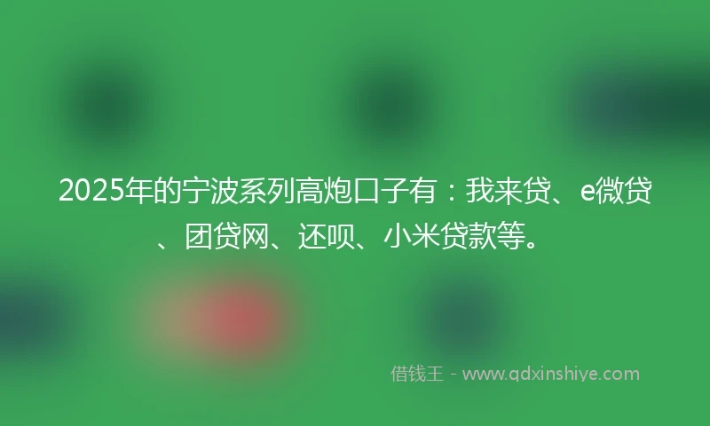 2025年的宁波系列高炮口子有：我来贷、e微贷、团贷网、还呗、小米贷款等。
