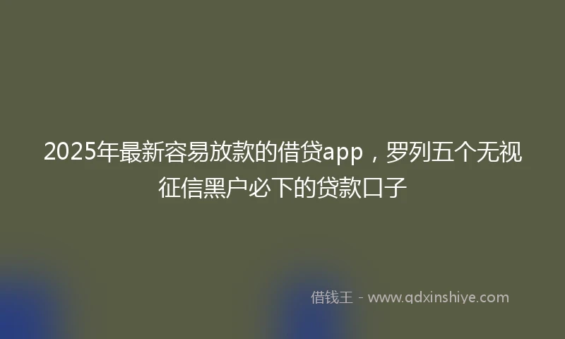2025年最新容易放款的借贷app，罗列五个无视征信黑户必下的贷款口子