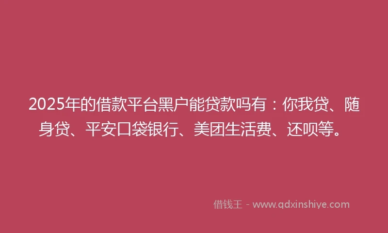 2025年的借款平台黑户能贷款吗有：你我贷、随身贷、平安口袋银行、美团生活费、还呗等。