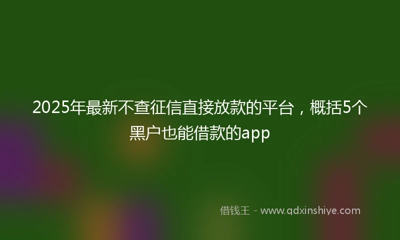 2025年最新不查征信直接放款的平台，概括5个黑户也能借款的app