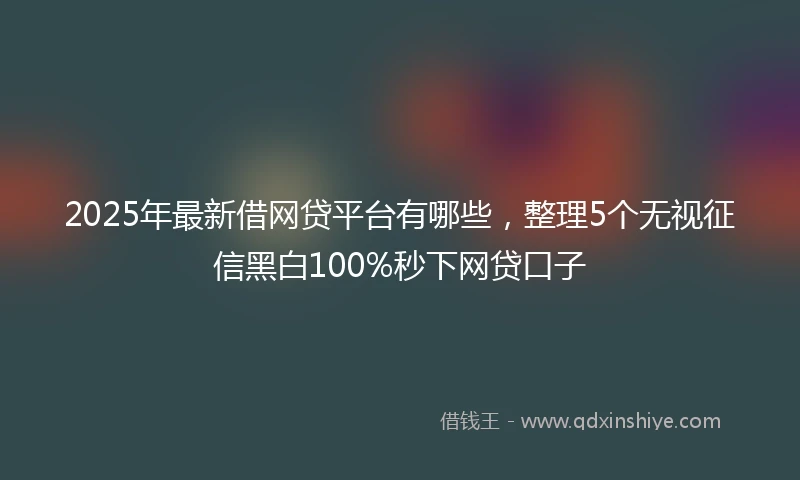2025年最新借网贷平台有哪些，整理5个无视征信黑白100%秒下网贷口子