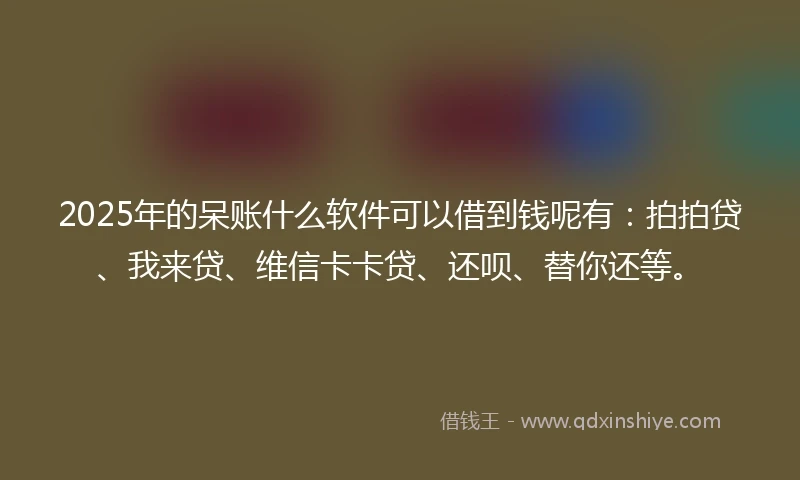 2025年的呆账什么软件可以借到钱呢有：拍拍贷、我来贷、维信卡卡贷、还呗、替你还等。
