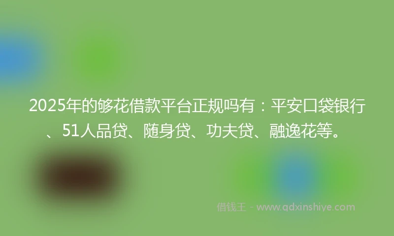 2025年的够花借款平台正规吗有:平安口袋银行、51人品贷、随身贷、功夫贷、融逸花等。