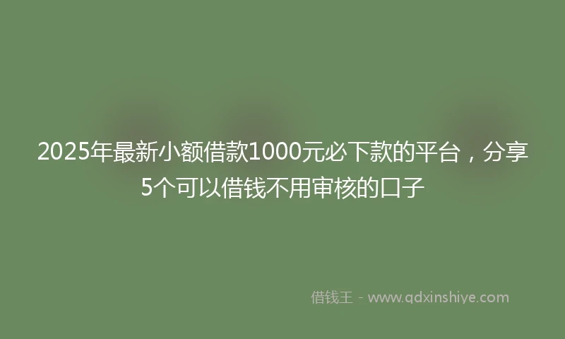 2025年最新小额借款1000元必下款的平台，分享5个可以借钱不用审核的口子